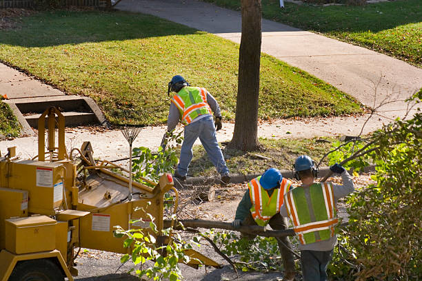 Best Lawn Maintenance Plans  in Agua Dulce, TX